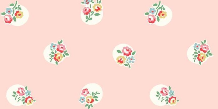 736x1221 Clouds converse with delicate daisies wallpaper | Flowers wallpaper