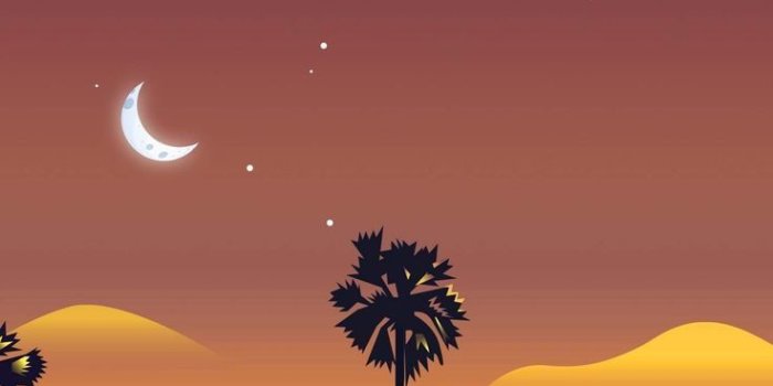 736x1593 Desert Night Oasis with Palm Trees Vector Art Wallpaper