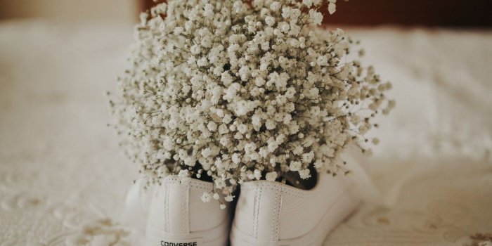 1332x850 Wallpaper flowers, shoes, sneakers, converse images for desktop