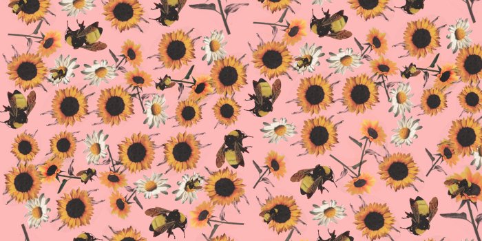 2880x2560 Flower boy custom mobile and desktop wallpapers by me! : OFWGKTA