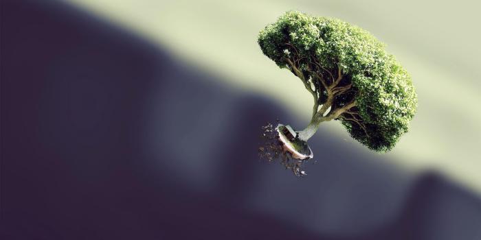 1920x1200 Floating Tree wallpaper - Digital Art wallpapers - #14531