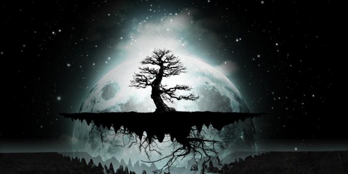 1920x1200 Floating tree island wallpaper - Digital Art wallpapers - #45889