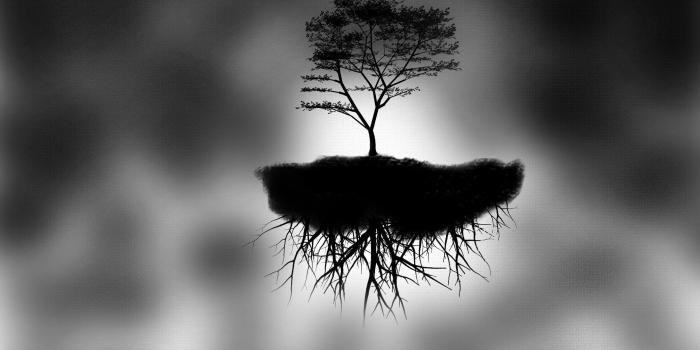 2880x1800 Tree on a floating island wallpaper - Digital Art wallpapers - #27434