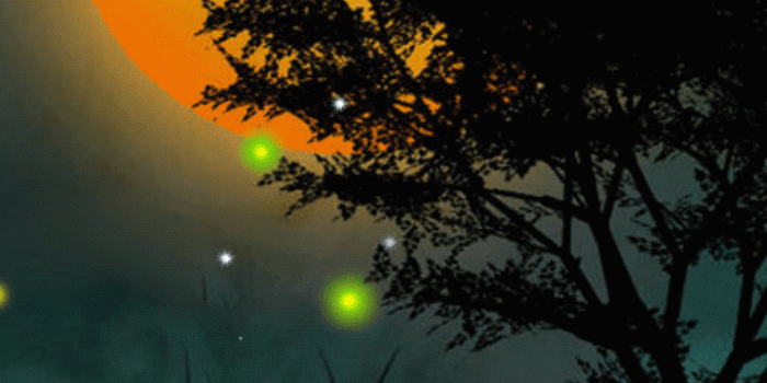 720x1280 Download com.aztech.wallpaper.night Android Live Wallpapers - nature