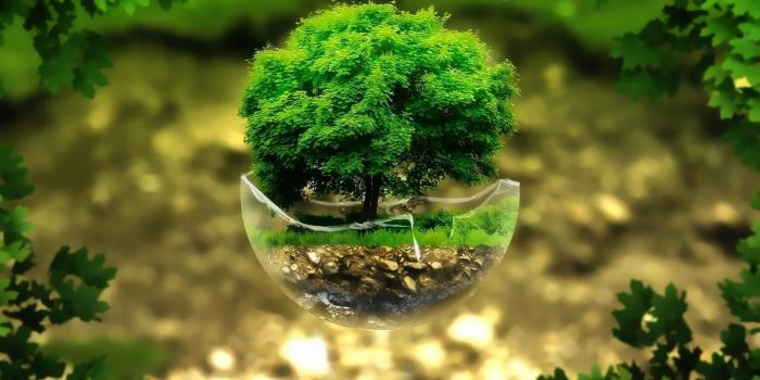 1920x1080 nature, Green, Leaves, Plants, Digital Art, Floating Island, Trees