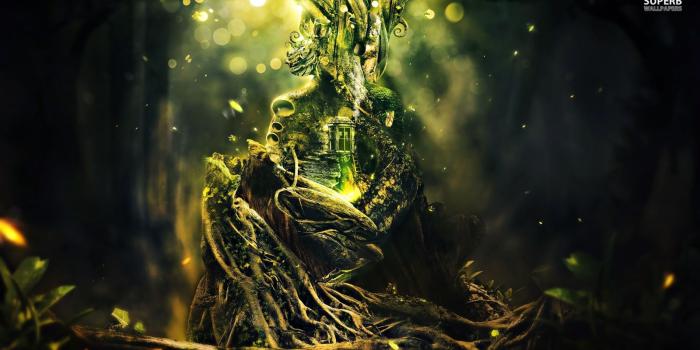 1600x900 Treehouse - Fantasy Wallpaper (38721494) - Fanpop