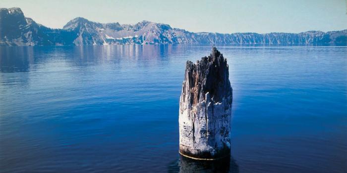 1600x900 This ghost tree has been floating vertically in Crater Lake for more