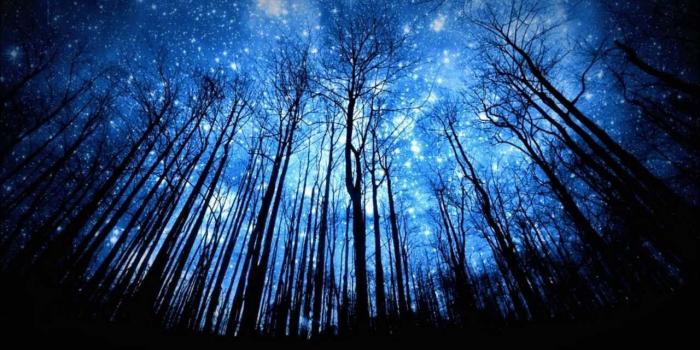 1280x720 Malory - Floating | Music Videos | Night sky wallpaper, Starry night