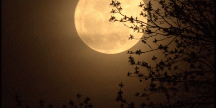 750x1200 SuperMoon Hiding by:Dwight Mobile Phone Wallpaper 1200x1920
