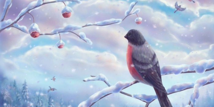 1280x960 Trees Clouds Snow Sky Bird Winter Birds Free Themed Desktop