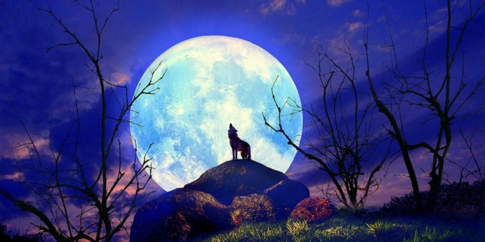 1600x1200 Super Moon, bushes, clouds, full moon, hills, moon, rocks, super