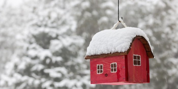 1732x1080 Winter: Bird House Pine Spuce Trees Red Winter Snow Fir Desktop