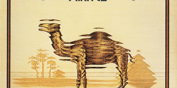 2000x1995 music camels band logos album covers cigarettes 2000x1995 wallpaper