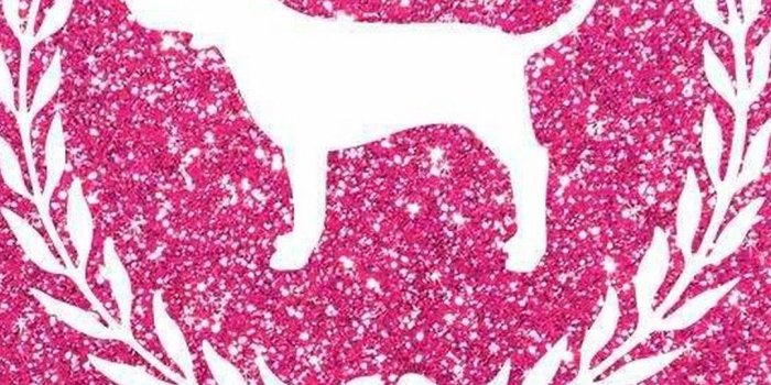 1080x1920 Pink Vs Wallpaper Android - 2019 Android Wallpapers