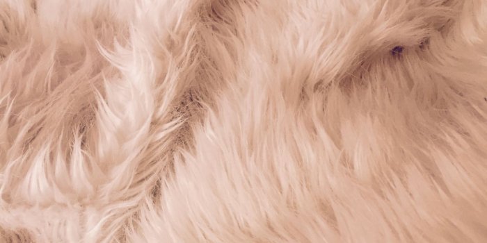 1280x1707 chayana | ch || chanel #1 | Beige aesthetic, Brown aesthetic