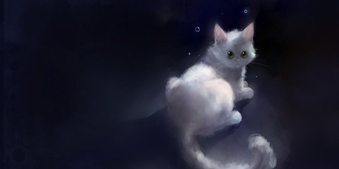 1440x900 Free Wallpaper - Free Art wallpaper - Cat Design wallpaper