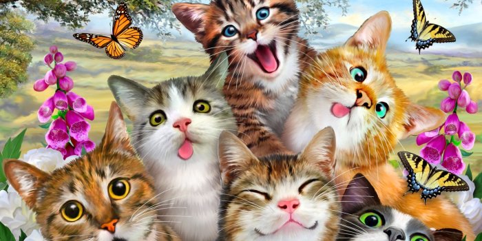 2000x1402 Cat Selfie