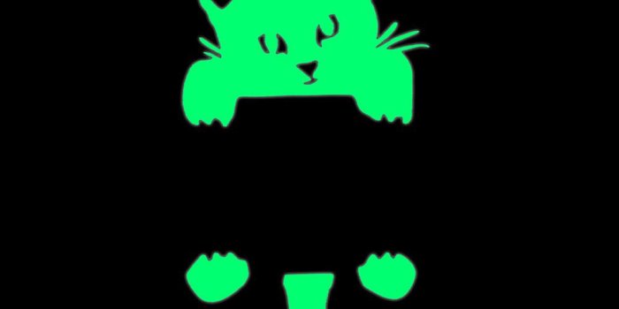 1000x1000 DIY Cute Creative Kitten Cat Luminous Noctilucent Glow Switch Wallpapers  Home