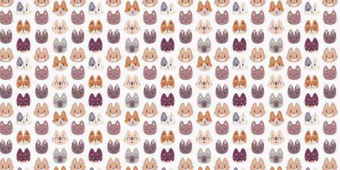 2560x1440 Cat Wallpapers - Purrfect Love