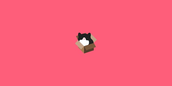 2560x1600 Cat Box Design Minimalism - Free Stock Photos, Images, HD Wallpaper