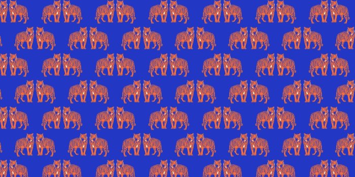 1650x1070 Tiger Roar Wallpaper | Cool Big Cat Design | MuralsWallpaper