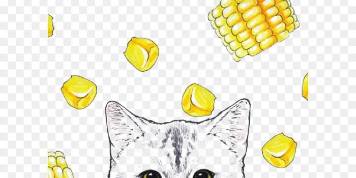 900x1180 Cat Cartoon png download - 658*1169 - Free Transparent Iphone 6 png