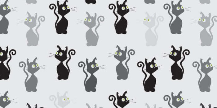 750x1334 Mobile Cat Wallpapers - Android, iPhone, Smartphone HD Wallpapers