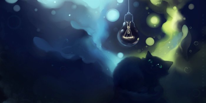 2560x1440 mike on lin | Cat wallpaper, Cat art, Cats