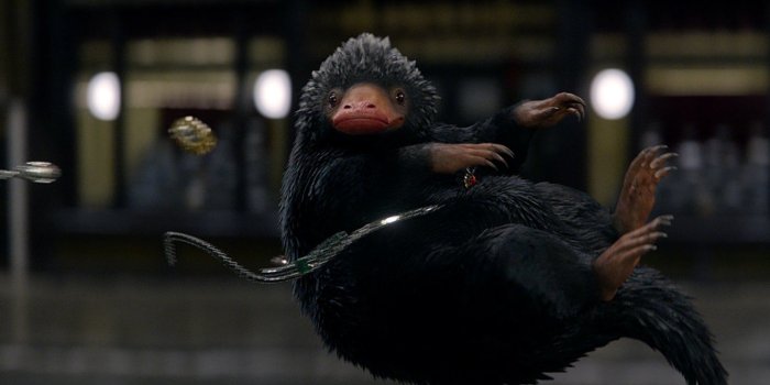 1777x744 Niffler Wallpapers