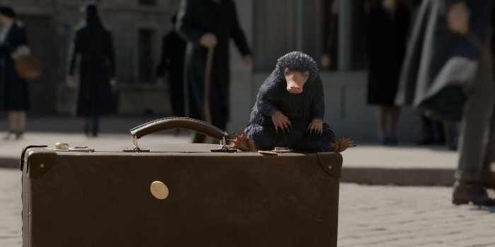 2100x989 Niffler Wallpapers