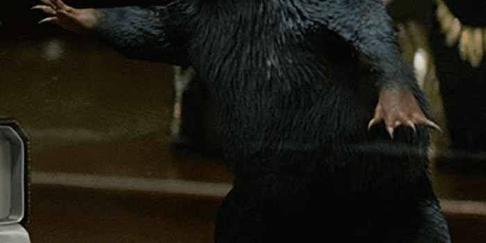 899x931 Niffler Wallpapers