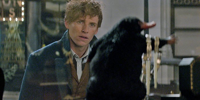 1600x1200 Newt Scamander Wallpaper - Newt Scamander And The Niffler, Hd