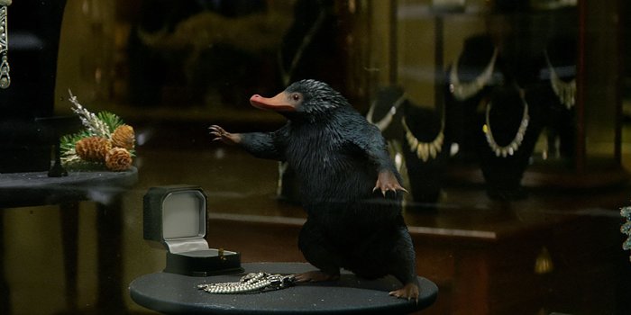 2863x1200 Over 60 Magical New Hi-Res Stills From FANTASTIC BEASTS AND WHERE TO