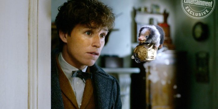 1800x1200 Fantastic Beasts: The Crimes of Grindelwald image features Newt