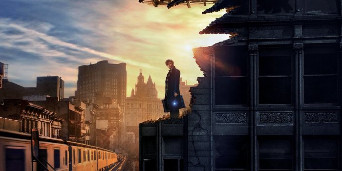 1920x1080 19 Fantastic Beasts and Where to Find Them HD Wallpapers