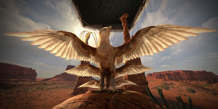 1920x1080 Thunderbird Fantastic Beasts Wallpaper Widescreen On HD Wallpaper