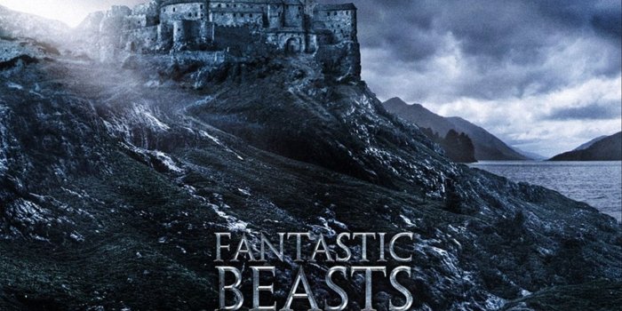 1279x1026 Fantastic Beasts And Where To Find Them Full Hd Wallpapers