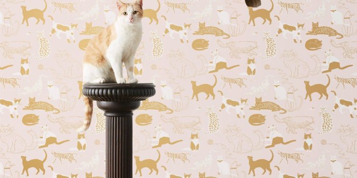 1414x1800 Cat's Meow (Blush), Roll