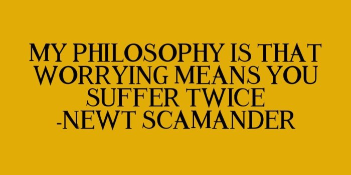 1080x1920 fantastic beasts and where to find them wallpapers | Tumblr