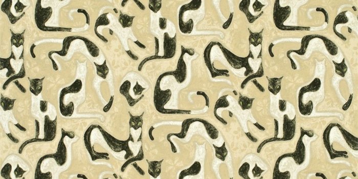 1366x1366 Style Library - The Premier Destination for Stylish and Quality