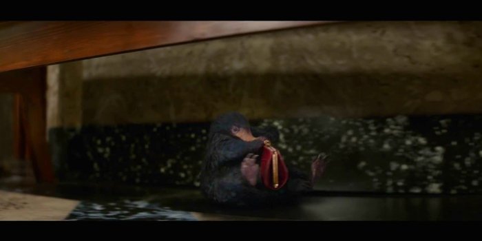 1920x1080 The niffler is such a cute creature | 