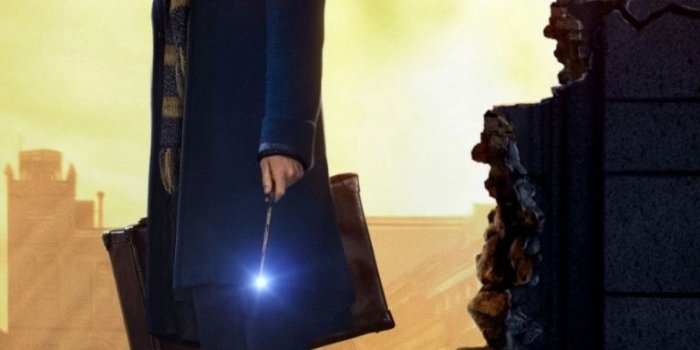 768x1280 Fantastic Beasts and Where to Find Them ❤ 4K HD Desktop Wallpaper