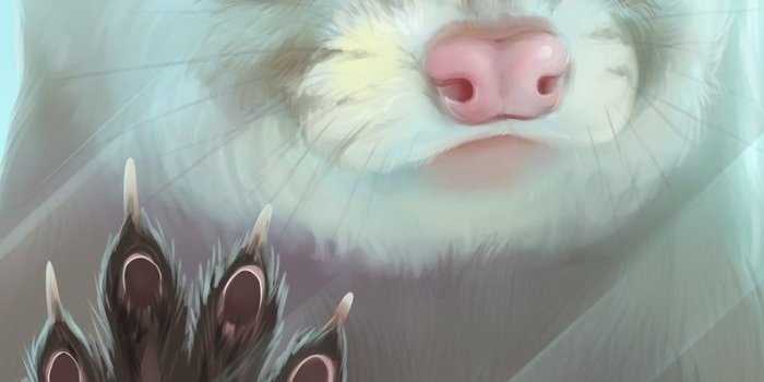 794x1412 Furry Phone desktop Wallpaper