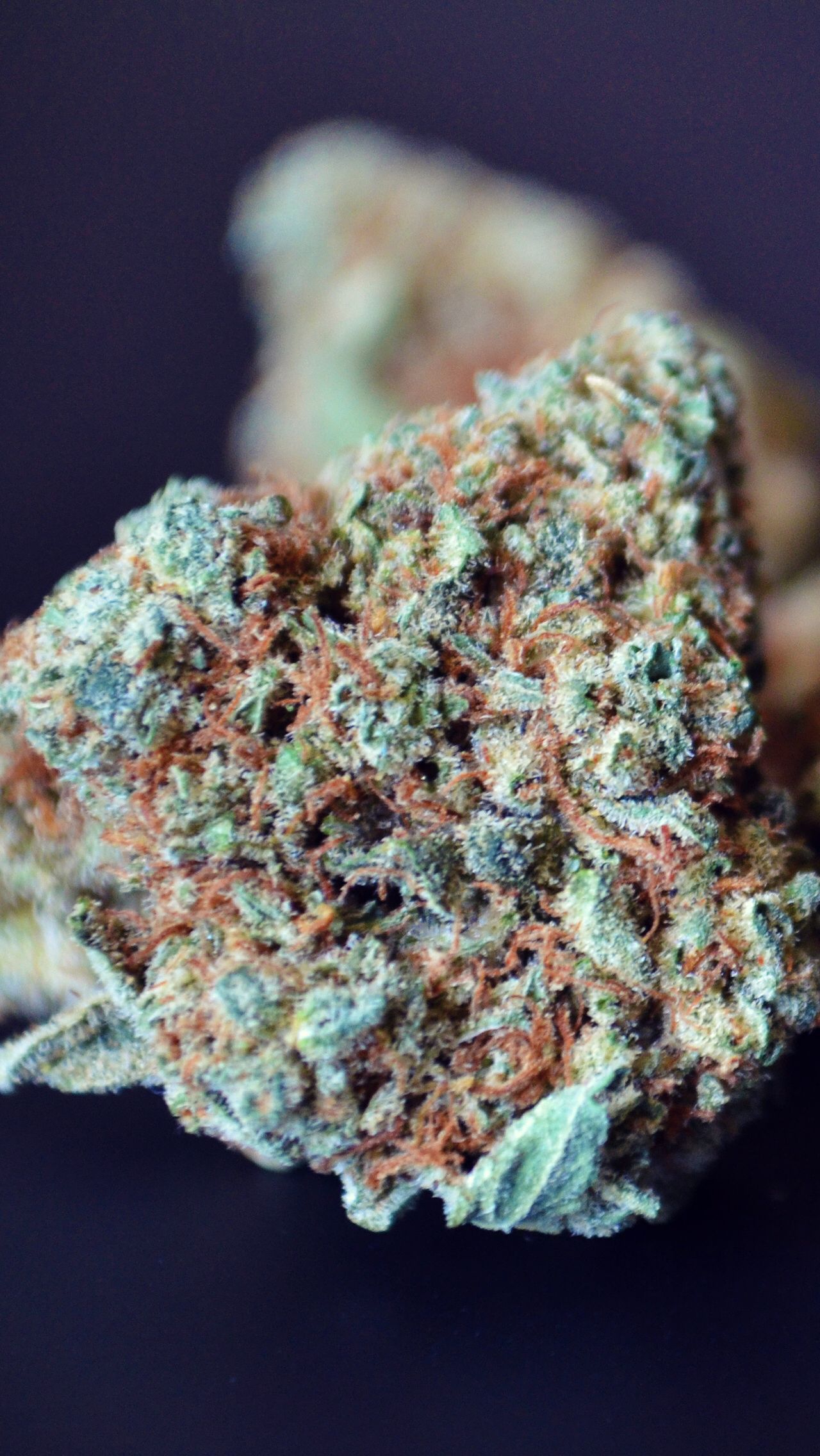 1280x2272 Weed wallpapers for iphone 5!Check out! | Wallpaper iPhone 5 | Weed