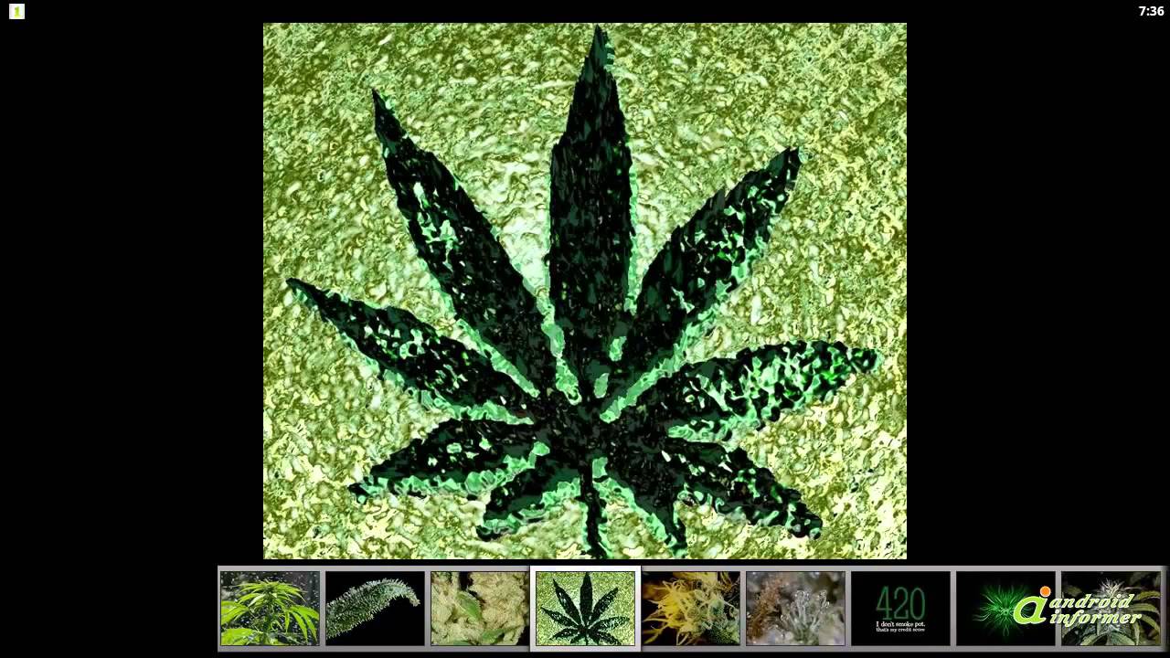1280x720 Trying out Weed HD Wallpapers