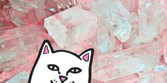 1374x1792 RIPNDIP Wallpapers