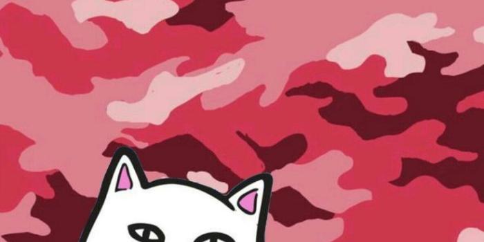 736x1114 Download Ripndip Iphone Wallpaper (69+) - Free Wallpaper For your