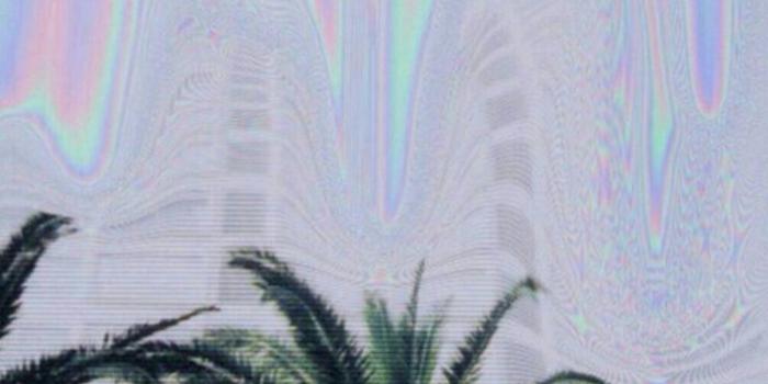 736x1311 Download Ripndip Iphone Wallpaper (69+) - Free Wallpaper For your