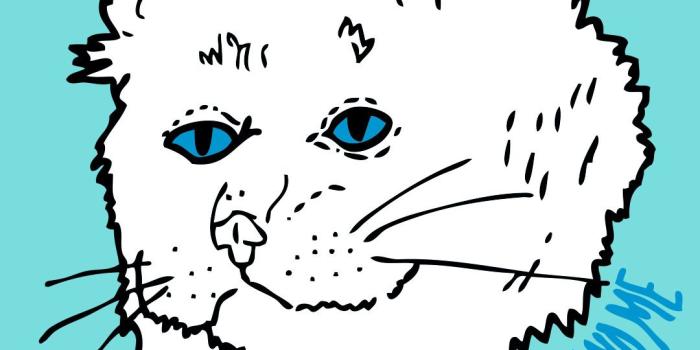 1080x1920 Best 57+ Nermal Wallpaper on HipWallpaper | Nermal Wallpaper, Lord