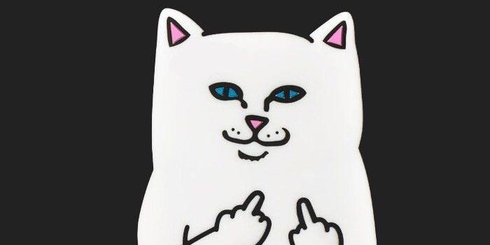 700x1241 goaway #cat #middlefinger # | Обои | Iphone cases, Iphone, Ripndip